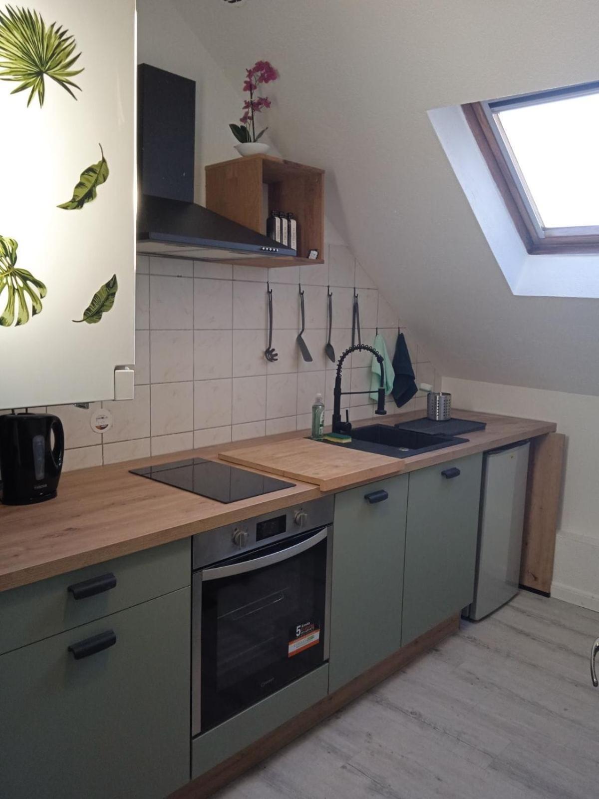 La Mulhousienne F3 Centre Ville Mulhouse Dış mekan fotoğraf