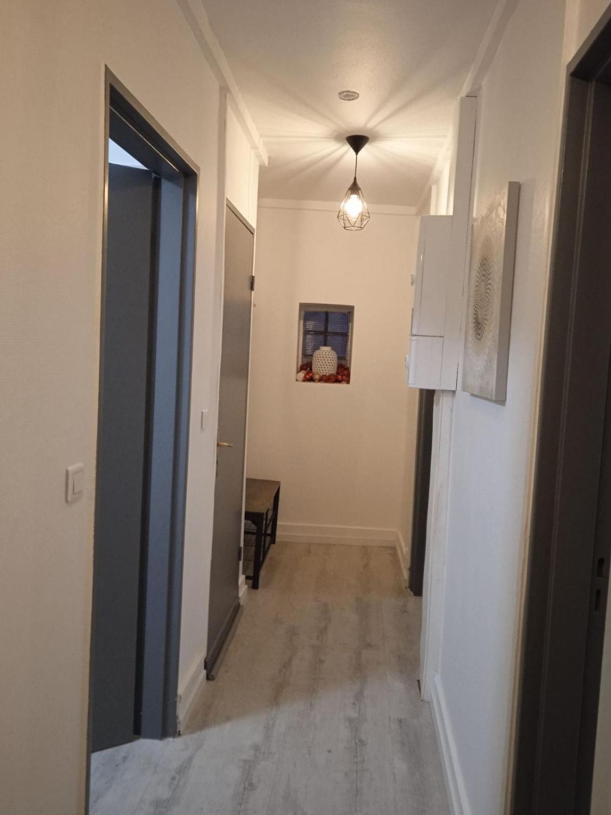 La Mulhousienne F3 Centre Ville Mulhouse Dış mekan fotoğraf