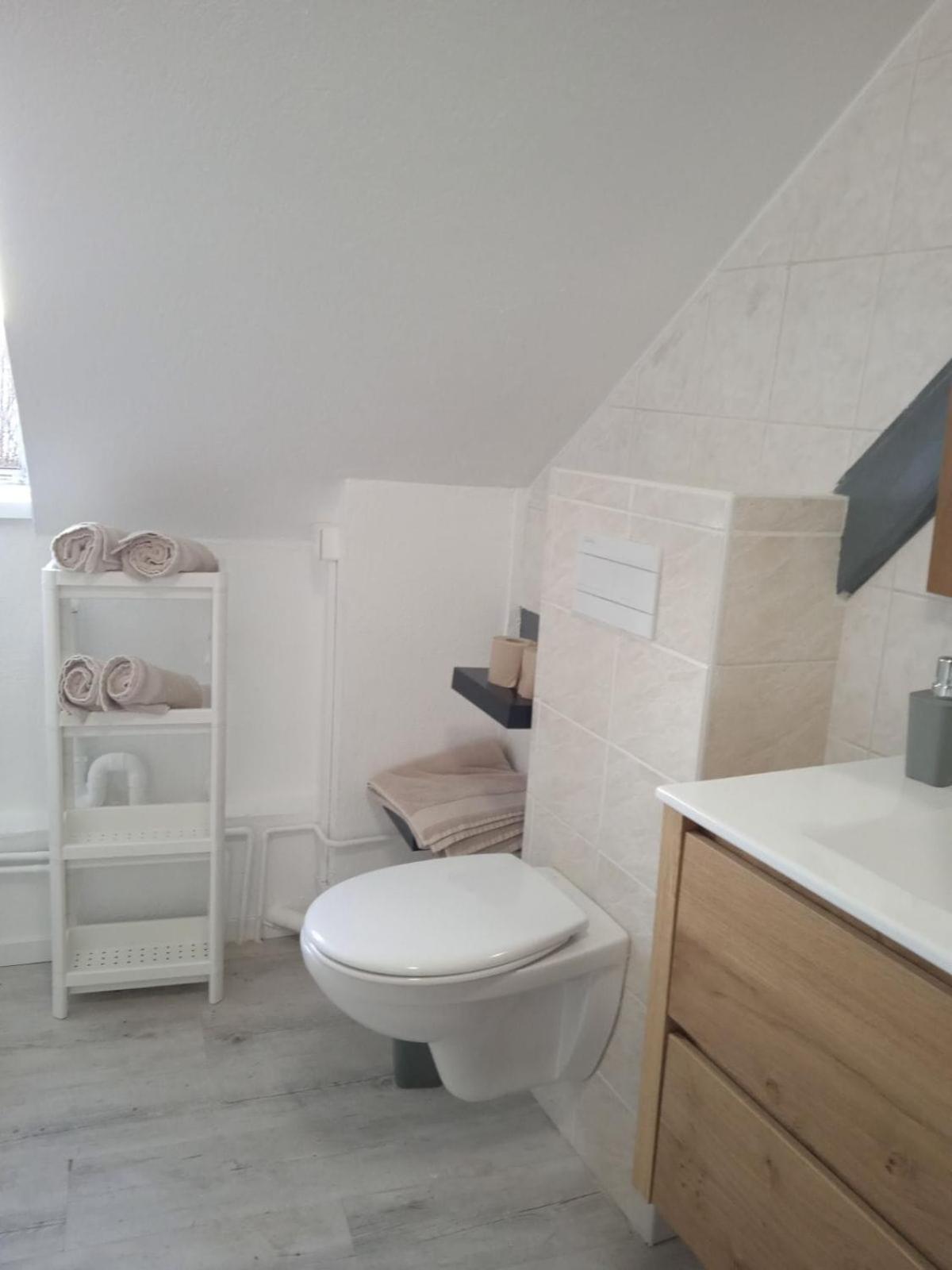 La Mulhousienne F3 Centre Ville Mulhouse Dış mekan fotoğraf