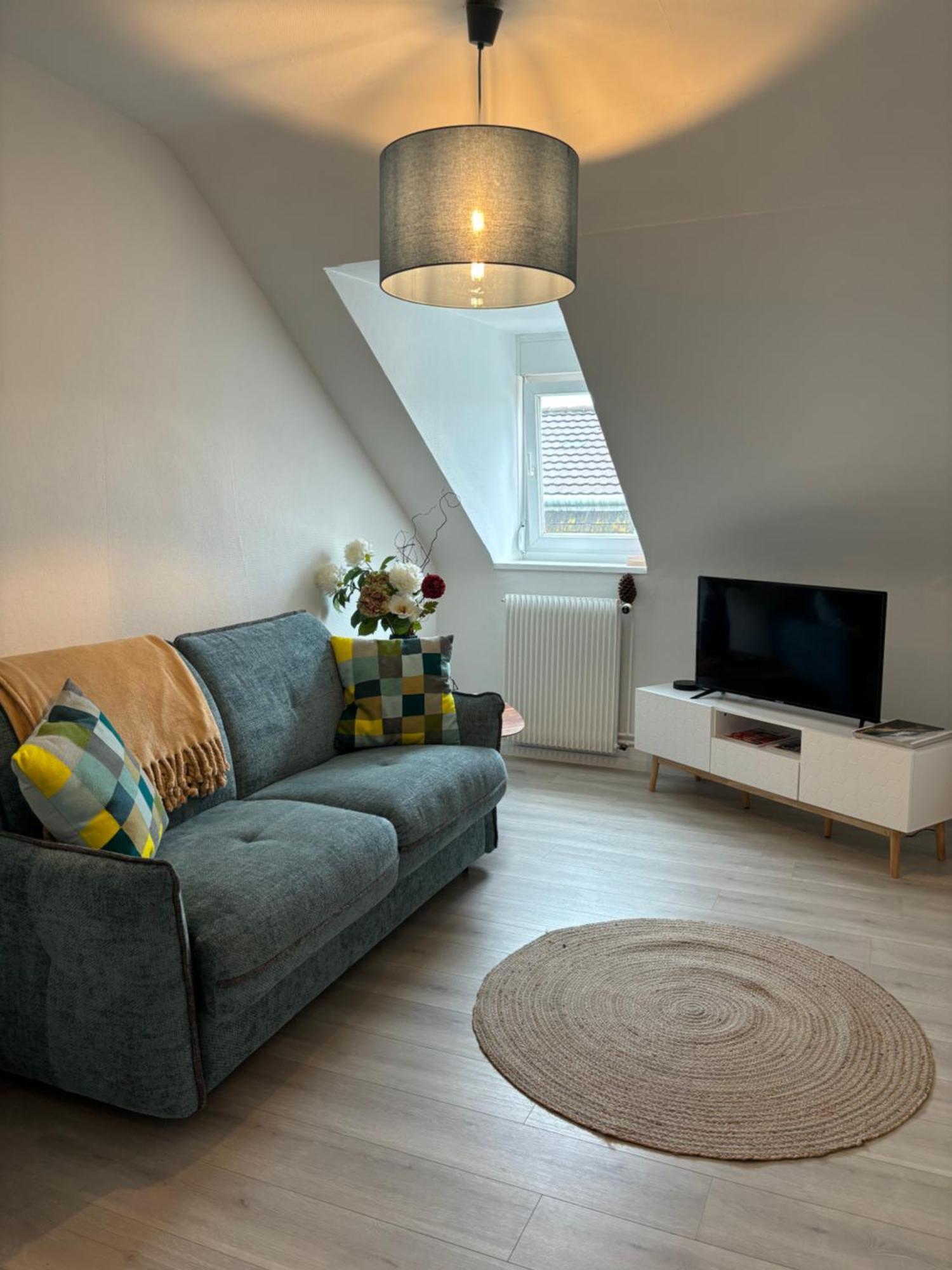 La Mulhousienne F3 Centre Ville Mulhouse Dış mekan fotoğraf