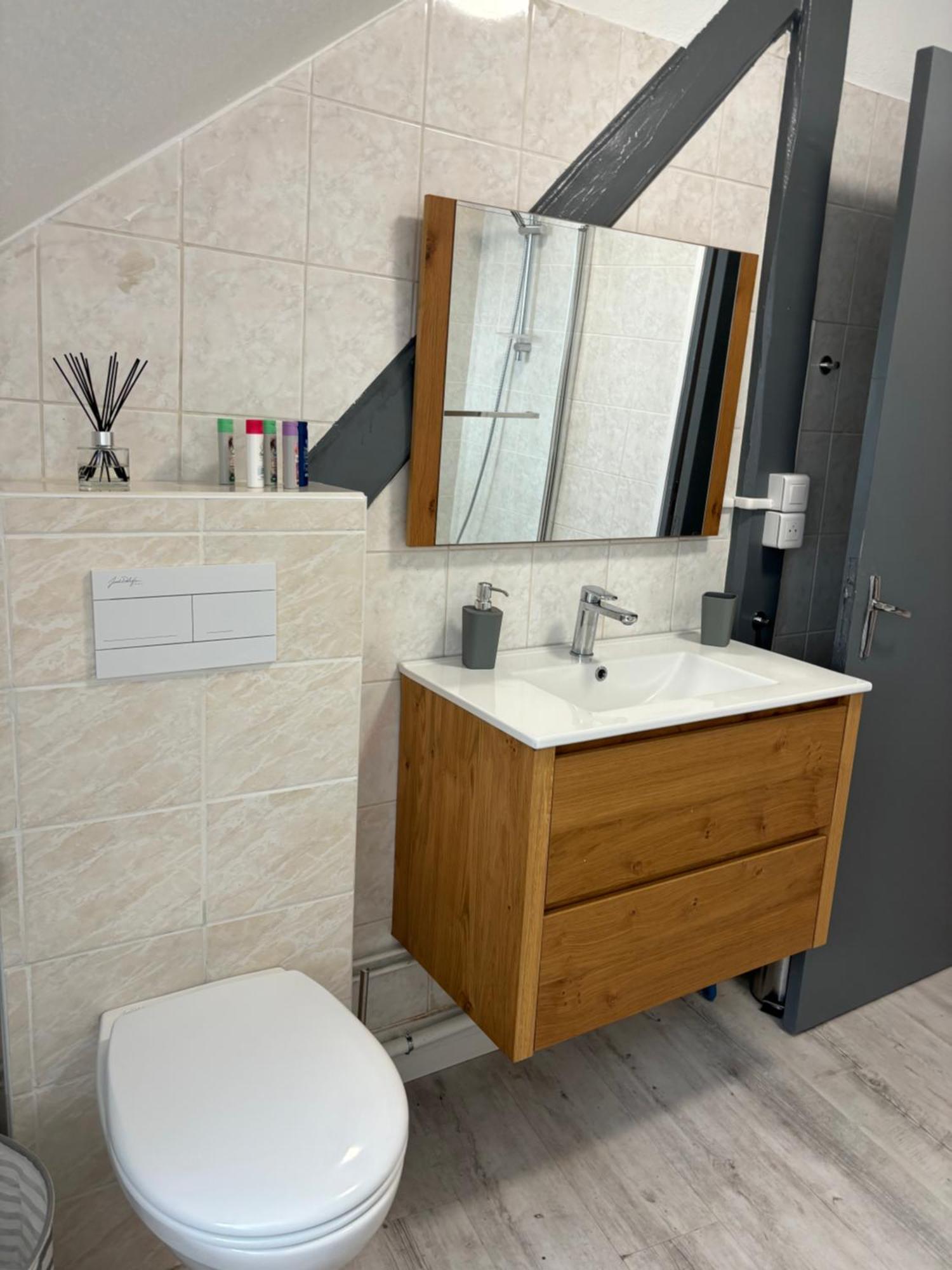 La Mulhousienne F3 Centre Ville Mulhouse Dış mekan fotoğraf